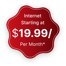 Internet Starting at 19.99